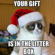 #grumpycat #meme grumpy cat stuff, gifts, coupons, meme on www.pinterest.com/erikakaisersot. 16 Of The Best Grumpy Cat Memes Catster