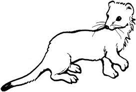 Published october 3rd 2019 by independently published. Weasel Outline For Nursery Wall Animal Coloring Pages Coloring Pages Free Printable Coloring Pages