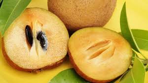 The fruits are bright green at first and not edible at this stage. 10 Incredible Sapota Chiku Benefits From Boosting Energy To Bone Health Ndtv Food