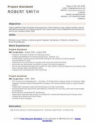 I believe your project or company initiative you are especially interested in will make waves in the industry and i would feel privileged to be a part of such an innovative team. Project Assistant Resume Samples Qwikresume