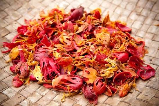 Mace - Jogatha Spice