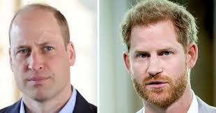 Prince Harry's attacks 'cut William deep' as insiders reveal why brothers  didn't meet