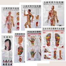 Us 9 98 3 7pcs Body Acupuncture Points Chart Human Meridian Gut Map Human Skeletal Figure Body Digest Map Head Eyes Ears Foot Massage In Massage