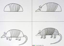 Drawing An Armadillo | Easy Drawings, Armadillo Art, Drawings