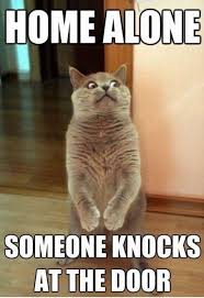 2 To The 1 To The 1 To The 3 Meme Details About Funny Cat Refrigerator Magnet 2 1 2x 3 Funny Cat Photos Funny Cat Memes Funny Animal Pictures