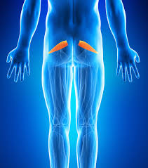 Exercitiile de picioare nu se vor face brusc, bruscarea articulatiei tensioneaza deosebit de mult genunchiul si niciodata intinderea brusca a piciorului nu este recomandata, mai putin sportivilor de performanta care in aceste conditii. Durere De Sold Cu Amortirea Piciorului Dureri De Èold Èi AmorÈealÄ A Piciorului