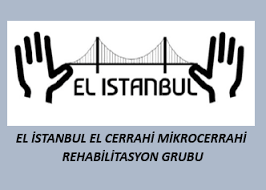 El Bilegi Kiriklari Istanbul Elcerrahisi