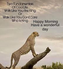35 Good Morning Quotes With Images And Good Morning Messages 10 Morning Quotes Funny Good Morning Messages Happy Morning Quotes Original good morning images with quotes. pinterest