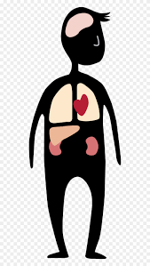 These contain tiny pores that are our taste buds. What Are The Signs Of Poor Blood Circulation In Our Cartoon Clipart 3835137 Pinclipart