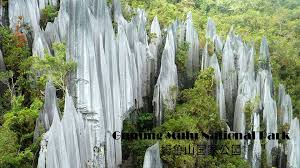 Try to go to this place and discover numerous crocodiles here. 21 Great Places You Must Go In Miri City Miri City Sharing