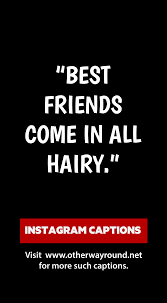 77 Unused Captions For Your Dog S Instagram Dog Instagram Captions Instagram Captions Dog Puns