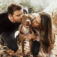 Wild Hair Happy Hearts Wildhairandhappyhearts Instagram Photos And Videos Dog Family Pictures Family Pet Photography Dog Photoshoot