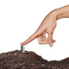 You can take steps to help your christmas cactus bloom, but not every piece of advice you hear will. The 5 Best Fertilizer For Succulents 2021 Edition Succulent Alley