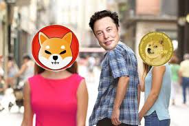 Sign up and trade to win from 2.2 billion doge, shib and akita during the campaign, new users who register for a poloniex account and trade doge, shib and akita for no less than 300 usdt. Shib Moon Mission Who S In Shibarmy
