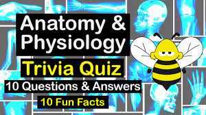 This trivia quiz will put your obsession to the test. Anatomy And Physiology Quiz Video Fun Basic Quiz Beez