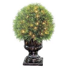 The cane floor plant prefers somewhat higher light. Indoor Lighted Topiary Trees Target