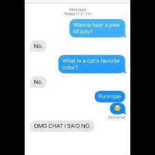 Chat Noir Jokes Miraculous Ships Miraculous Ladybug Just Pretend