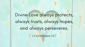 All things she bears, holds out under them (suffert, vulgate), without. 1 Corinthians 13 7 Blessed Brown Wren