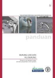 Salah satunya melalui deretan gambar berikut ini. Http Www Fao Org 3 A1521id A1521id Pdf