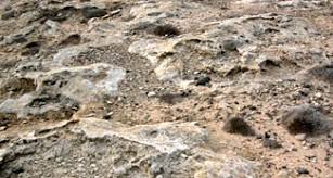 Find out about a few easy ways to break up hard soil for a garden with help from a cer. How To Break Up Hard Ground Step By Step Diy Guide