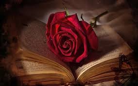 Select and download wallpaper for windows and android! Live Rose Wallpaper Download All Wallpapers New Beautiful Wallpaper For Mobile Phones 1280x800 Download Hd Wallpaper Wallpapertip