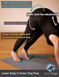 Pin By Sadie Hieftje On Everything Yoga Yoga Muscles Yoga Breathing Yoga Anatomy