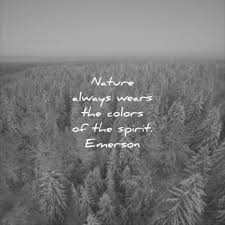 22.05.2020 · 25 inspiring gardening quotes connecting children with nature at the end of the day, your feet should be dirty, your hair should be messy and your eyes sparkling. Th1php0lzr Z1m