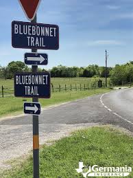 These trails are the oldest such trails known in the state of texas and tens of thousands of visitors make the short trek to ennis to view this wonderful wildflower show. 2021 Texas Bluebonnet Roadmap