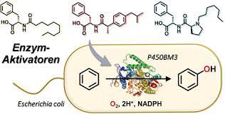 Ist eine farblose, brennbare und leicht entzündliche flü… Ganzzellbiotransformation Von Benzol Zu Phenol Durch Intrazellulares Zytochrom P450bm3 Aktiviert Mithilfe Externer Zusatze Karasawa 2018 Angewandte Chemie Wiley Online Library