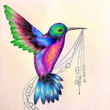 Maybe you would like to learn more about one of these? Hummingbird Colored Pencils Art Hummingbird Drawing Butterfly Drawing Drawings