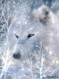 For those of you who like lautaro martinez and football, you must have this application. See Allen1956 39 S Animated Gif On Photobucket Click To Play Wolf Pictures Wolf Spirit Animal Fantasy Wolf