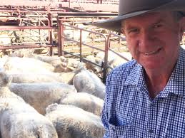 Charolais in demand at feature Warwick sale