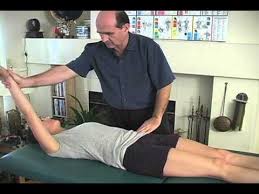Kinesiology Institute Muscle Tests With John Maguire Https Kinesiologyinstitute Com