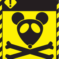 Image result for ratpoison