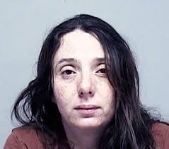 Mother admits child neglect in house with dog feces