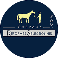 Placer un cheval réformé des courses | Ecurie Seconde Chance