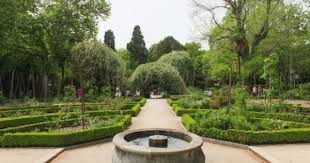 Real Jardin Botanico De Madrid Real Jardin Botanico Jardin Botanico Botanica
