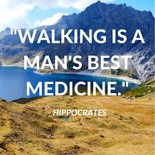 41 Best Hiking Quotes Of All Time Hiking Quotes Nature Quotes Adventure Nature Quotes