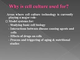 Maybe you would like to learn more about one of these? Introduction To Animal Cell Culture Introduction Cell Culture