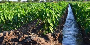 Jecfa is an international scientific expert committee administered jointly by the food and agriculture organization of the united nations (fao) and who. Africa 2m From Fao And Ifad For Sustainable Water Management Afrik 21