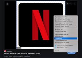 The google photos app, launched in 2015, is google's response to apple icloud, a backup solution for moving images and videos from your smartphone to the cloud. How To Install Netflix On Mac M1 Big Sur Techdecode Tutorials