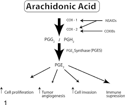 Use this link to get 3% off your entire purchase and a custom phly emblem for your vehicles. Figure 1 From Cyclooxygenase 2 Expression In Animal Cancers Semantic Scholar
