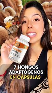 Beneficios de los Hongos Adaptógenos para el Bienestar