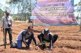 Butuh porang basah, kuantitas tidak terbatas. Tanaman Porang Yang Lagi Trend Mulai Dibudidaya Petani Subang Literasi News