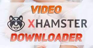 Download xhamster apk 1.6.0 for android. Xhamstervideodownloader Apk For Android Download 2020