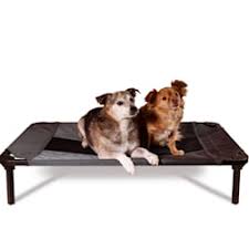 Dog beds and furniture keep them cozy and comfortable with plush dog beds, crate mats and other furnishings from petsmart. Dog Beds Bedding Best Large Small Dog Beds On Sale Petco