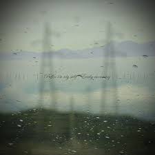 【aesthetic songs】early morning music | study/sleep/chill 1hr. Puffin On My Side Albums Songs Discography Biography And Listening Guide Rate Your Music