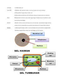 Sel di kelilingi oleh membran sel 2. Struktur Sel Haiwan Dan Sel Tumbuhan Serta Fungsi Lessons Blendspace
