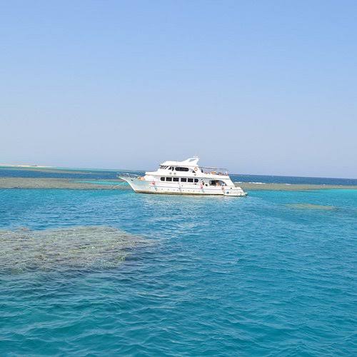 أفضل 10 تأجير قوارب في مرسى علم - Tripadvisor