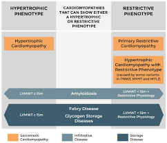Image result for Restrictive Cardiomyopathy